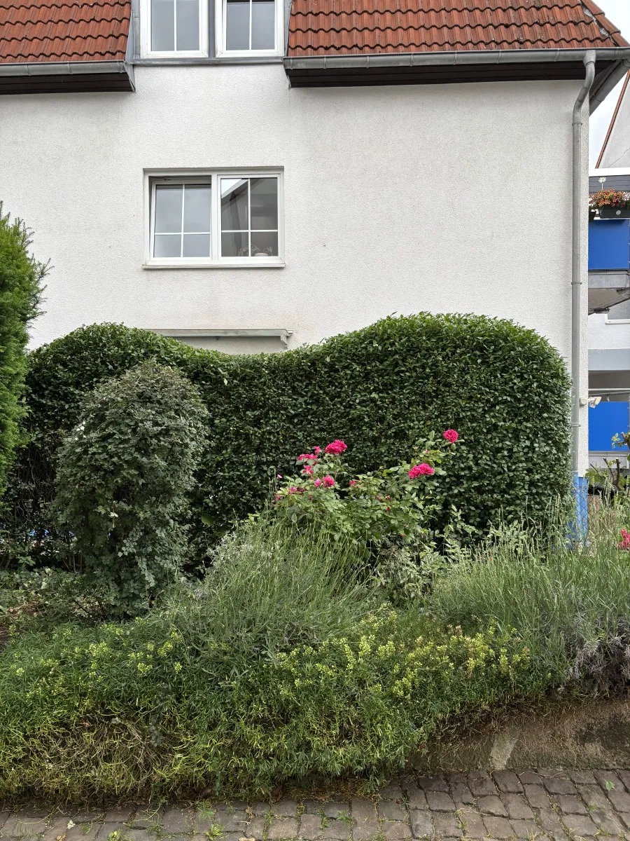 Heckenschnitt – Referenzfoto